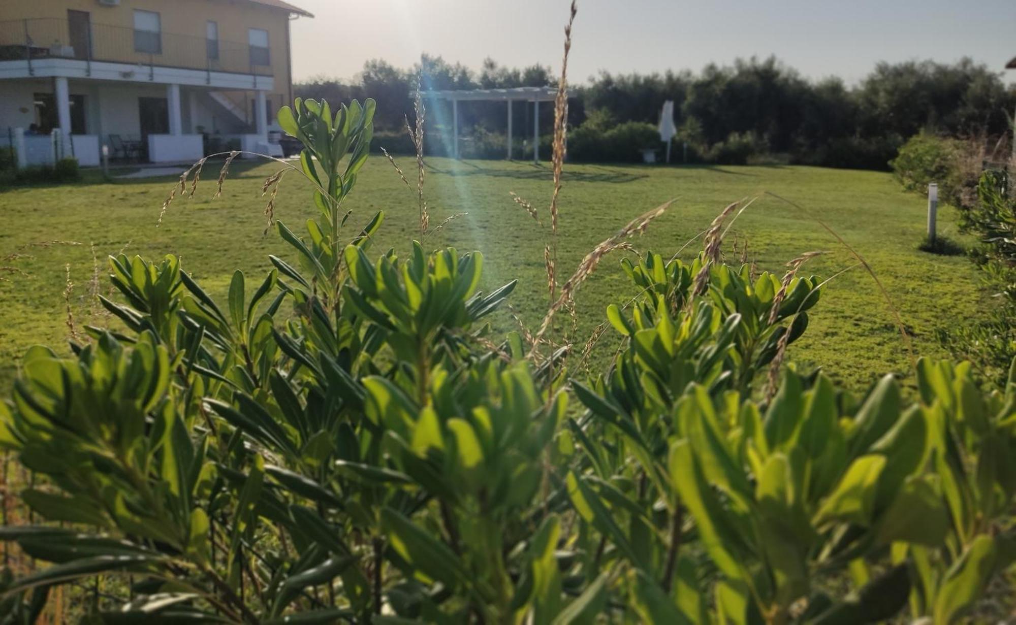 ואסטו Natura E Mente Camere E Relax מראה חיצוני תמונה